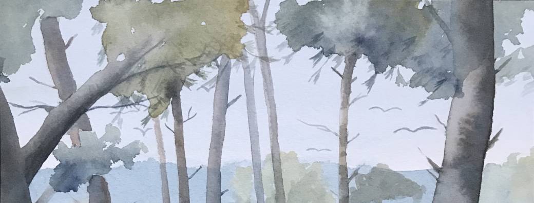 Atelier d'aquarelle Audenge