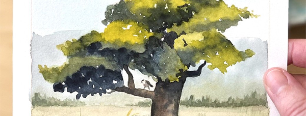 Atelier d'aquarelle Janvier 2027