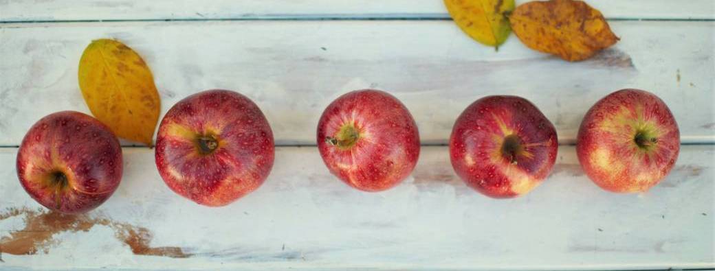 Atelier d'autocompassion : S'ancrer dans la douceur