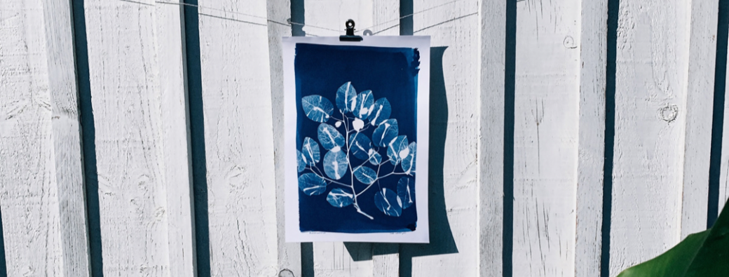 Atelier de cyanotype samedi 2 décembre