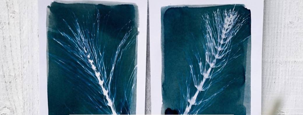 Atelier de cyanotype vendredi 27 octobre