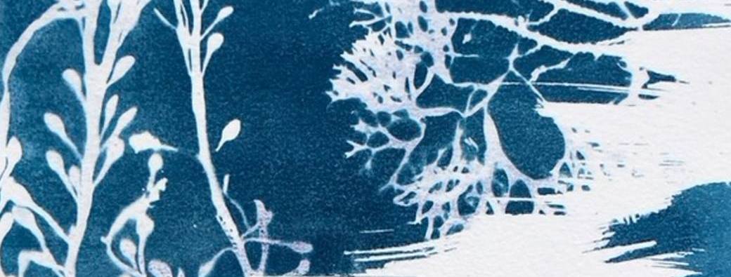 Atelier de cyanotype 