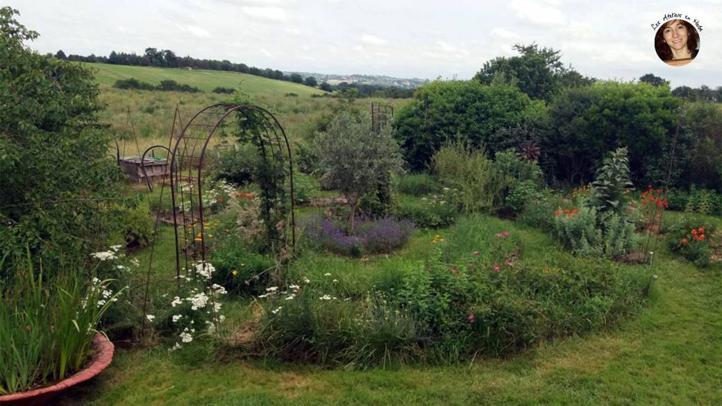 Atelier de découverte des plantes médicinales et comestibles. Atelier de découverte des plantes médicinales et comestibles.