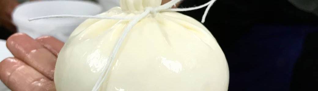 Atelier de fabrication - Mozzarella & Burrata