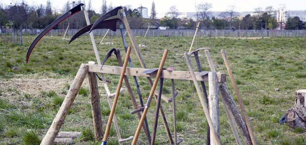 Atelier de l'ethnothèque, utilisation de la faux