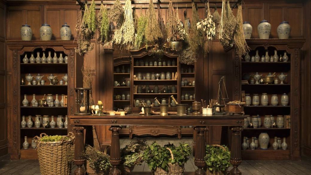 Atelier de l'herboriste