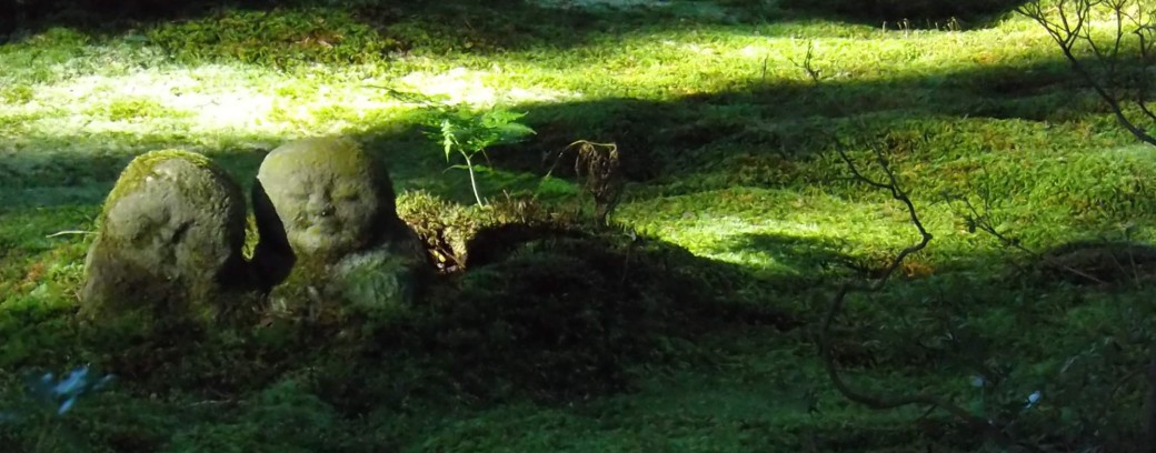 Atelier de méditation en plein air - Jardin d'agronomie tropicale