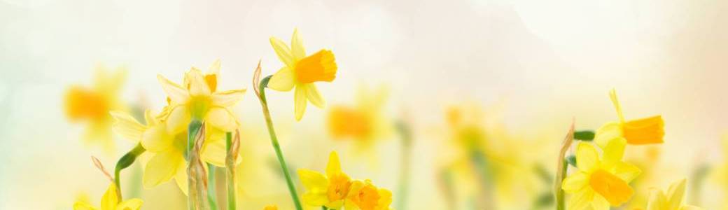 Atelier de naturopathie