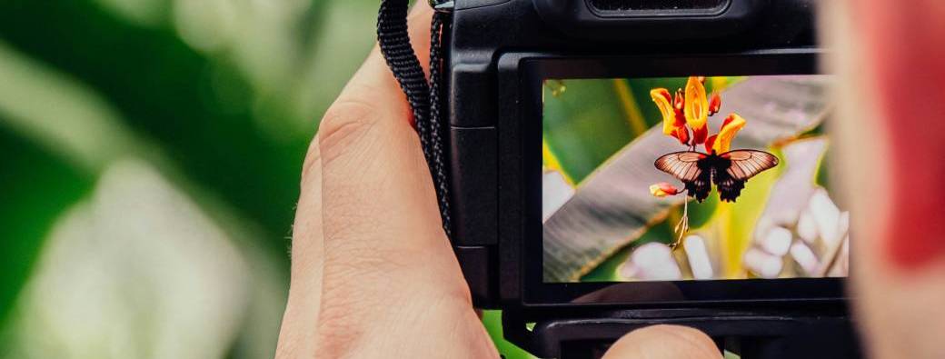 Atelier de photographie (SPECIAL BICENTENAIRE DE LA PHOTO)