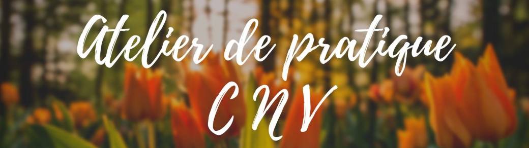 Atelier mensuel de pratique CNV 2020-21    avec Elodie