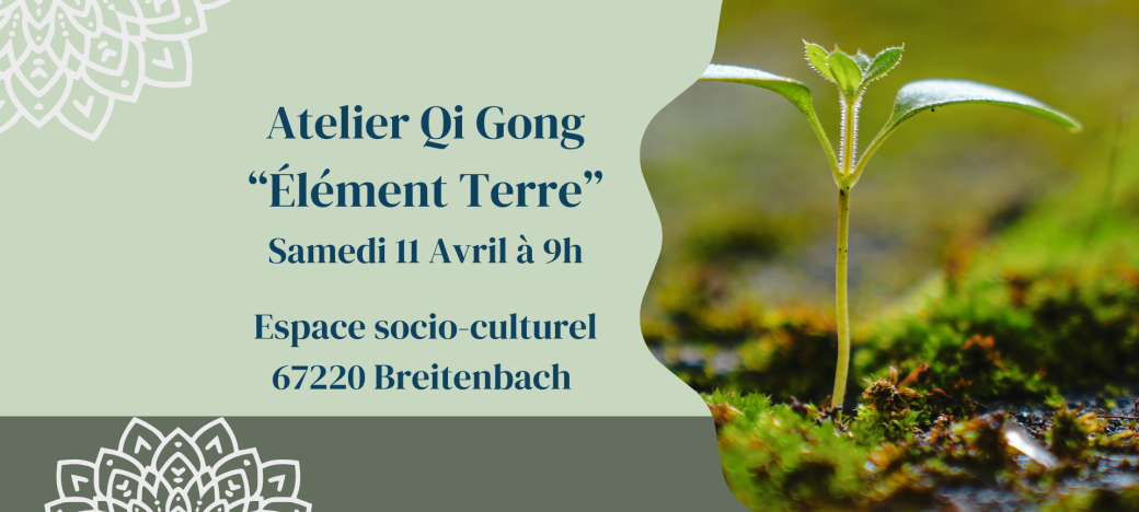 Atelier de Qi Gong "La Terre"