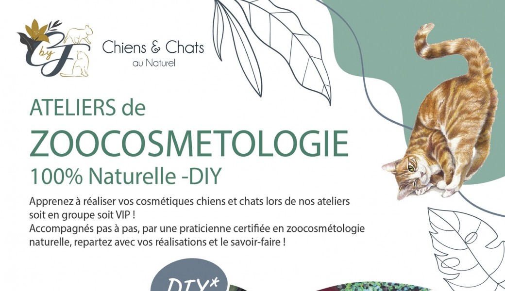 Atelier de Zoocosmétologie Chien & Chat en ligne