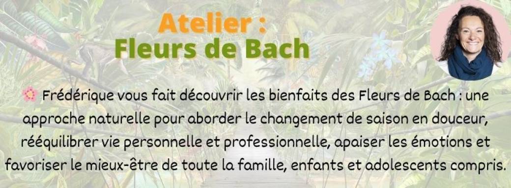 Atelier découvert les Fleurs de Bach