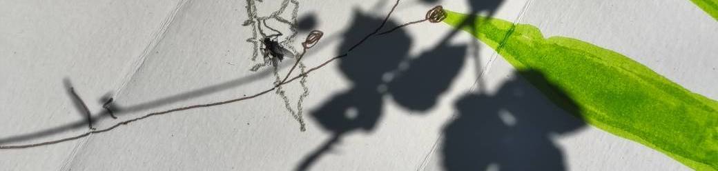 Atelier découverte Carnet de voyage, pour petits et grands