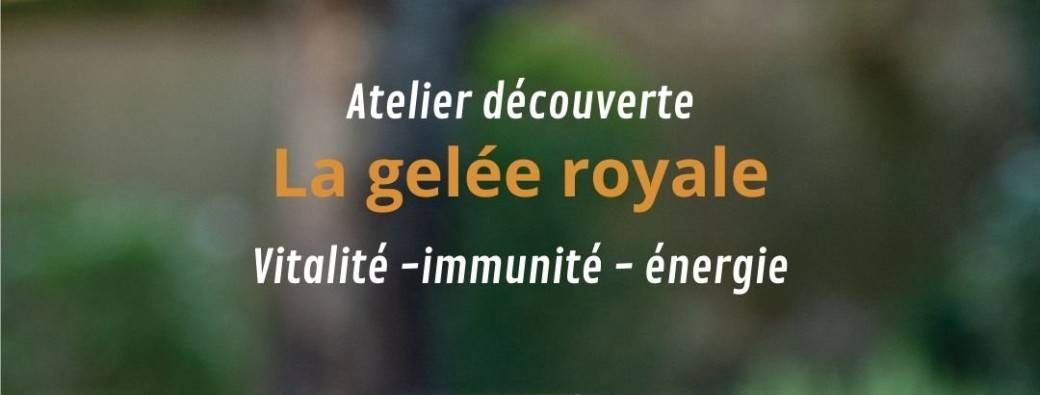 Atelier découverte de la gelée royale