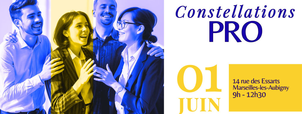 Atelier Découverte des Constellations PRO