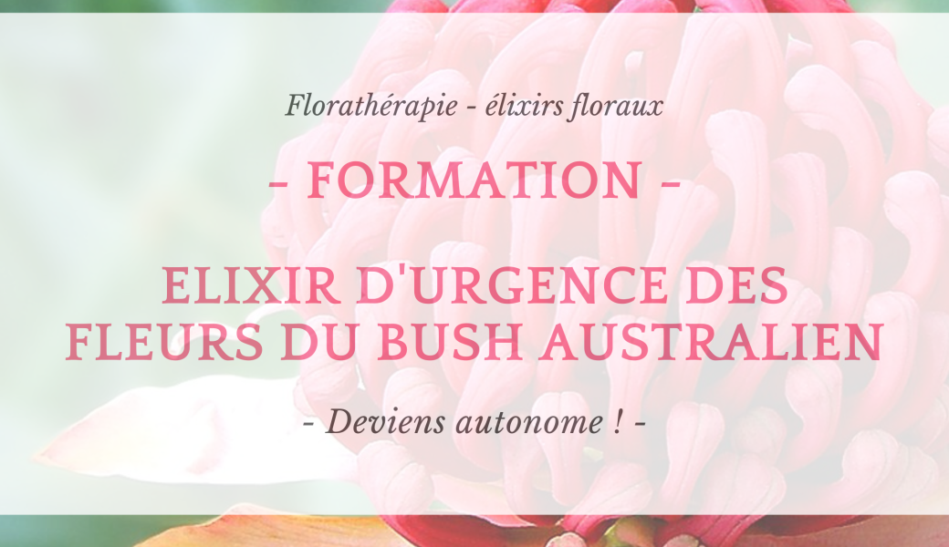 FORMATION - Elixirs d'urgence des fleurs des Bush Australien [Présentiel]