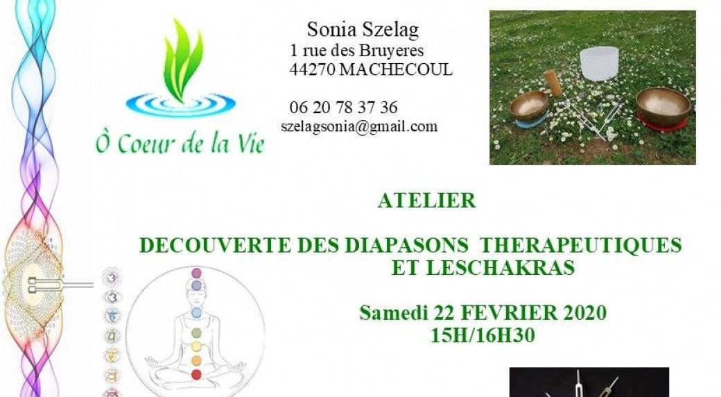 Atelier découverte Diapasons thérapeutiques