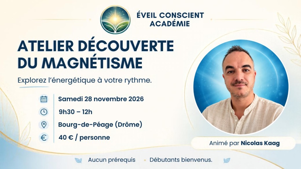 Atelier découverte du magnétisme