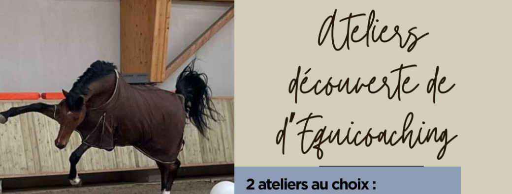 Equicoaching : Chacun sa réalité… 