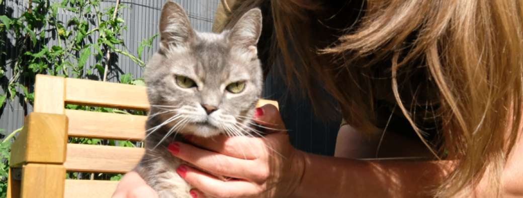 Atelier découverte · Naturopathie animale