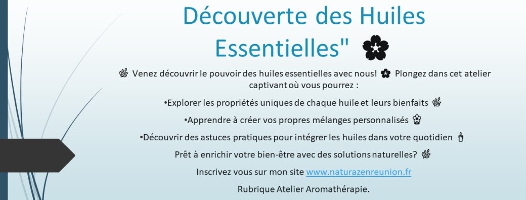 Atelier Découverte