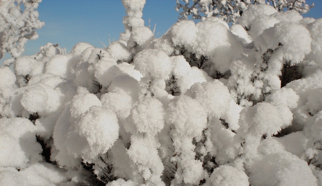 Atelier d'écriture - Boule de neige