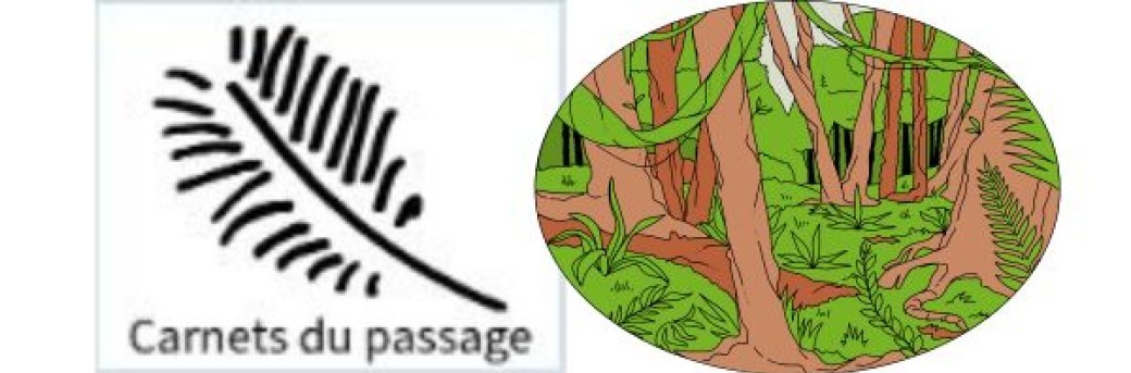 Atelier d'écriture : Etre un arbre