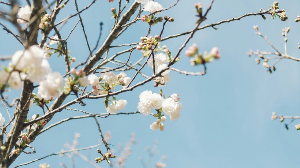Atelier d'écriture Les mots avant l'été Atelier d'écriture Les mots avant l'été