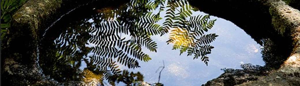 Atelier d'écriture partagé