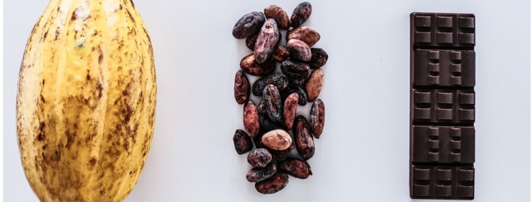 ATELIER dégustation chocolat d'Amérique Latine 