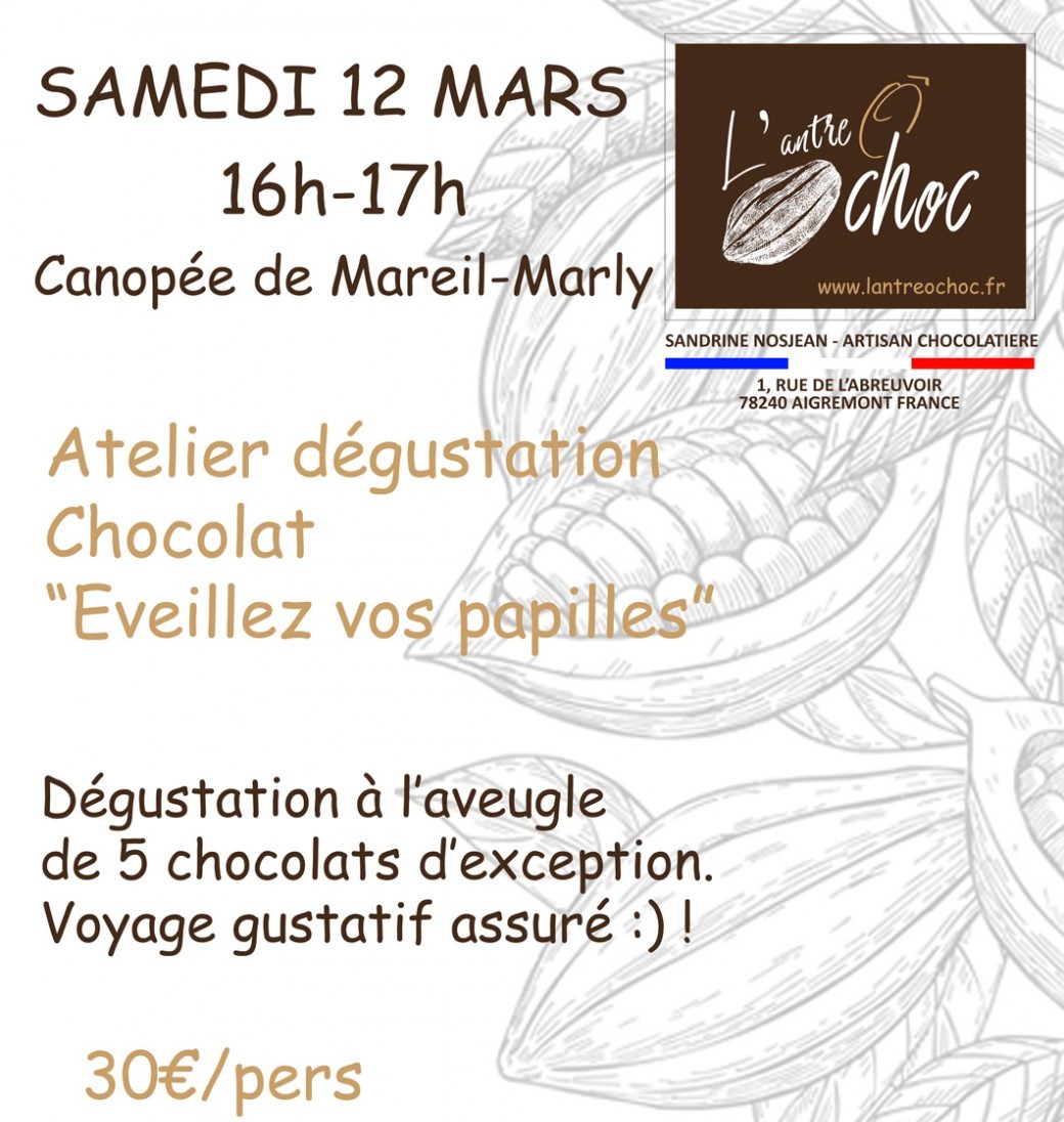 Atelier dégustation chocolat "Eveillez vos papilles"