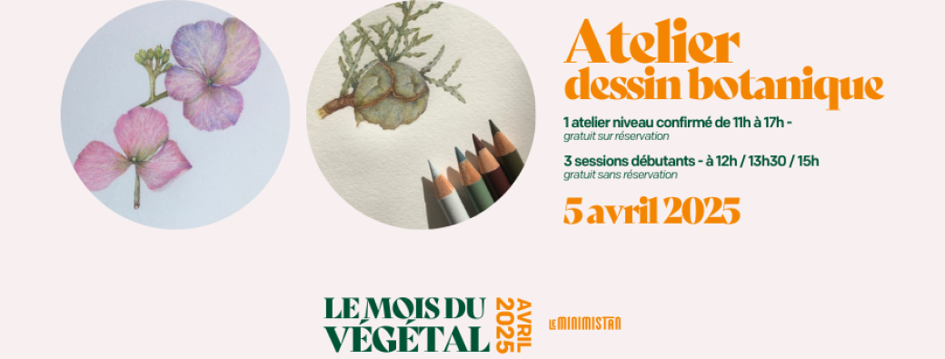 Atelier dessin botanique (niveau confirmé)