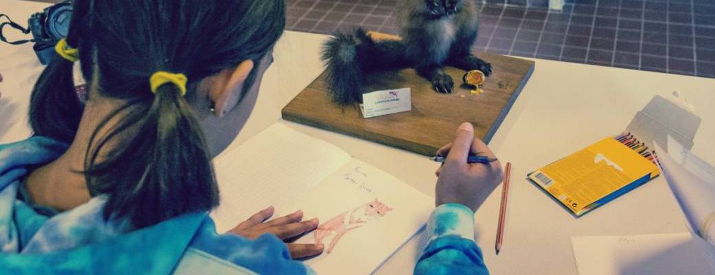 Atelier dessin / galerie de Zoologie
