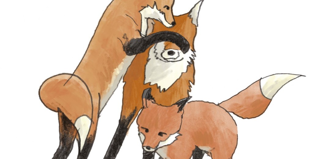 Atelier dessin "Les animaux du père Lachaise" avec Nicolas Gilsoul