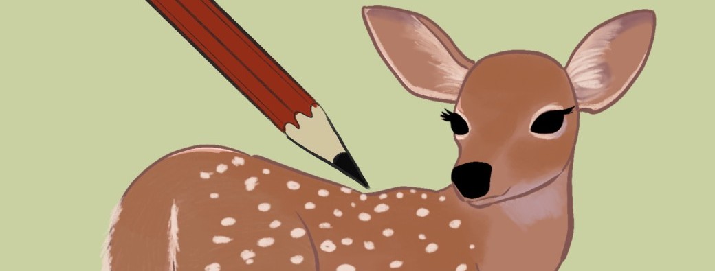 Atelier dessin: Les animaux du printemps-  7-10 ans