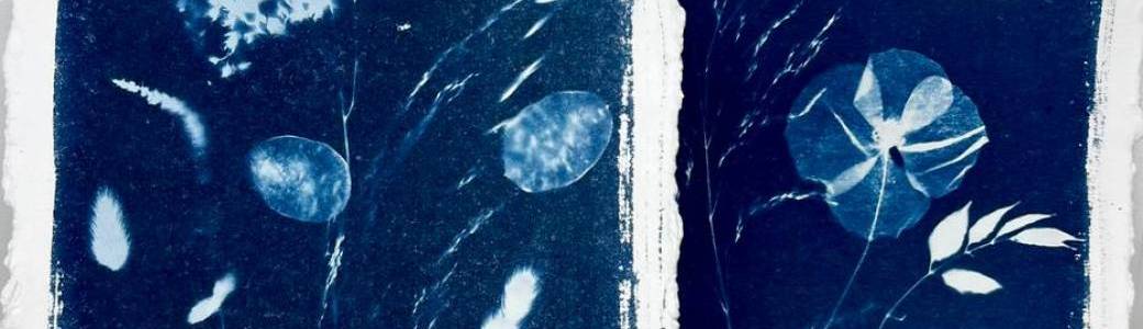 Atelier d'impression cyanotype