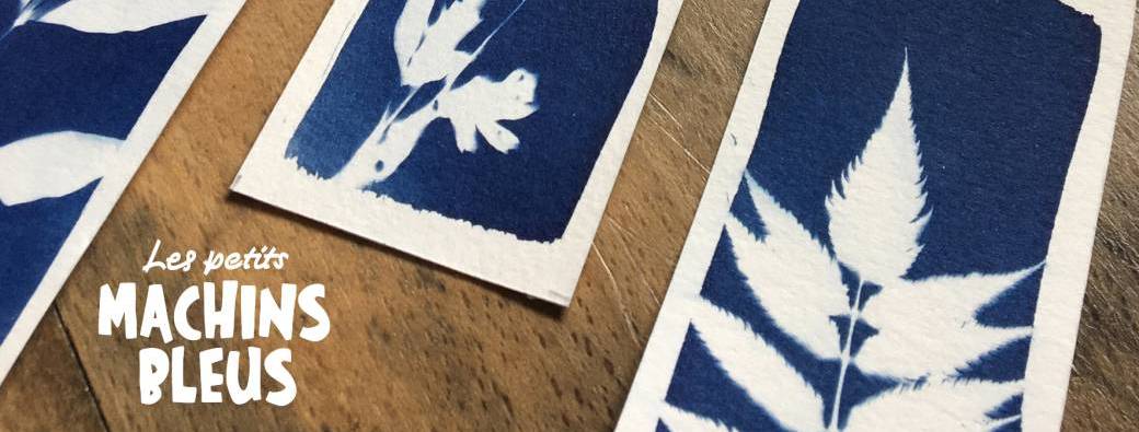 Atelier d'initiation au cyanotype LES PETITS MACHINS BLEUS 