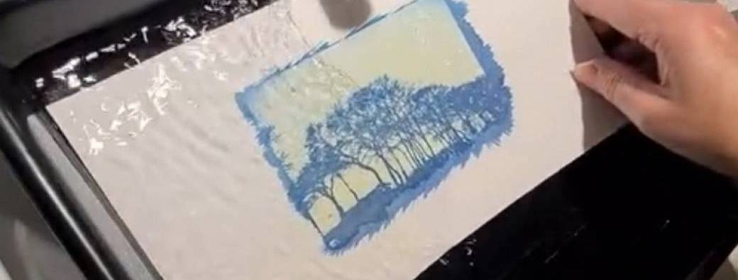 Atelier d'initiation au cyanotype