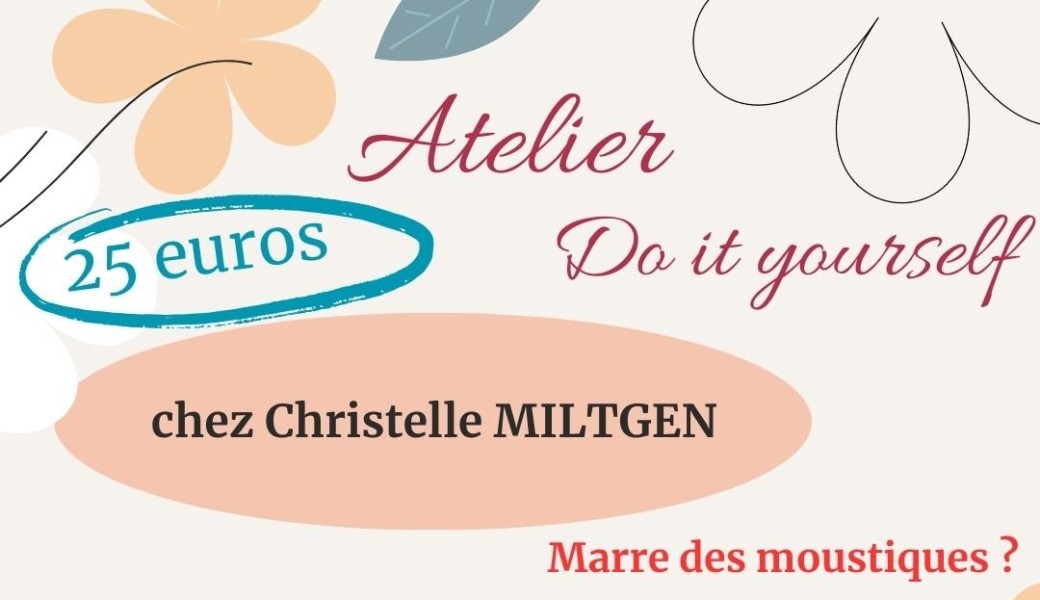 Atelier DIY anti-moustiques