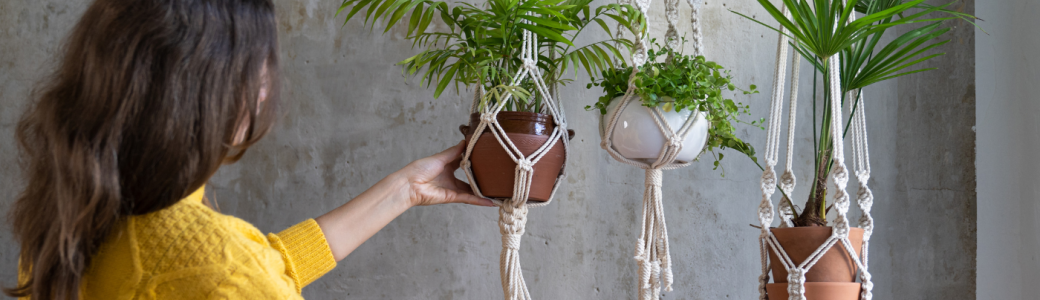 Atelier macramé : "je crée ma suspension pour plante"