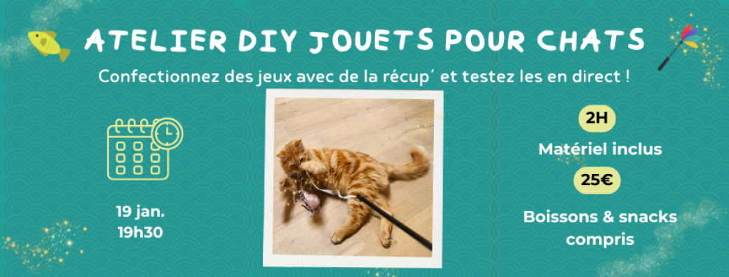 Atelier DIY jouets pour chats