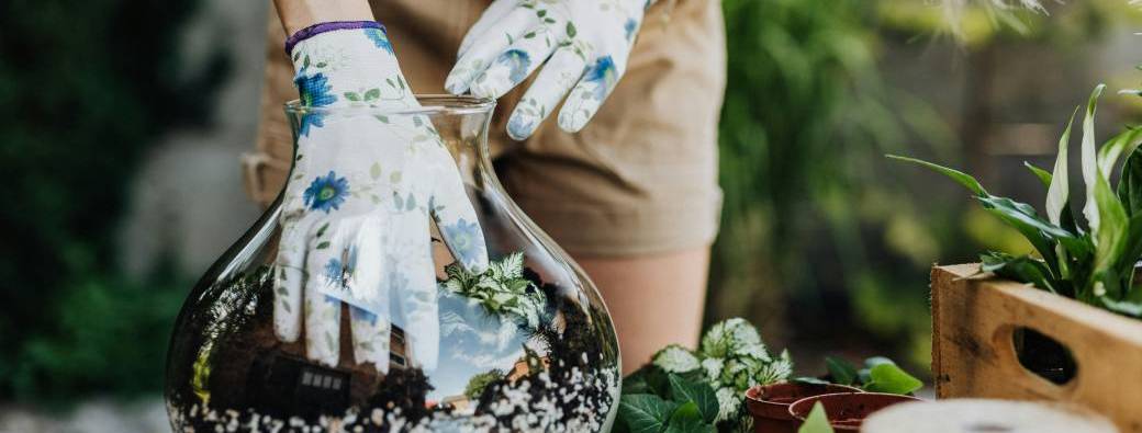 Atelier DIY Terrarium
