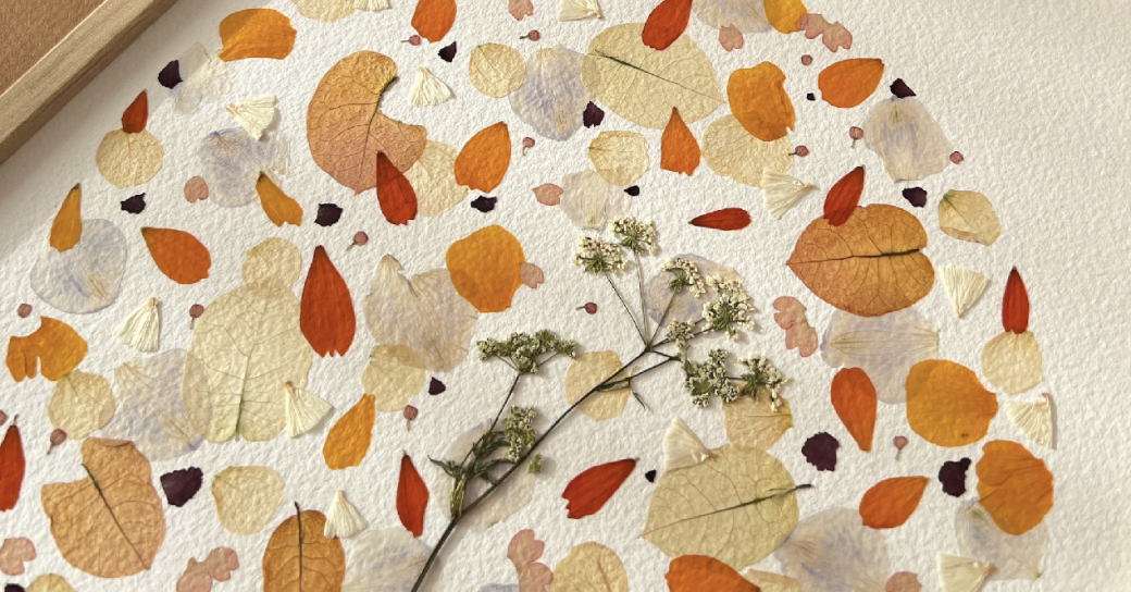 Atelier duo : Herbier encadré