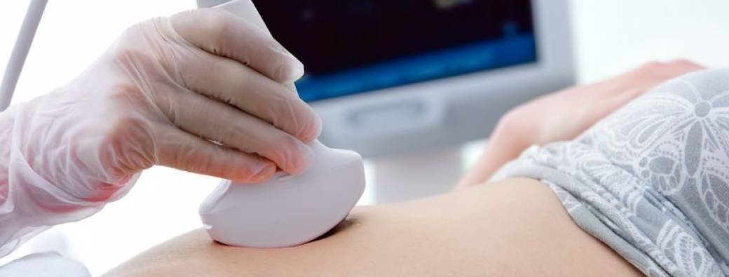 Atelier échographie 