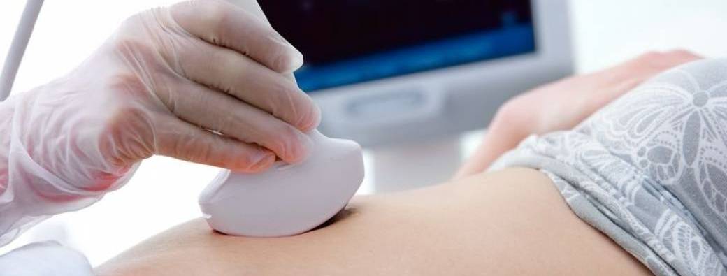 Atelier échographie 