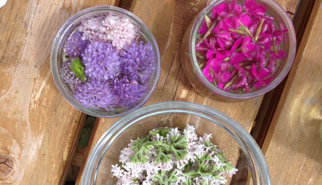 Atelier Elixir floral méthode Bach
