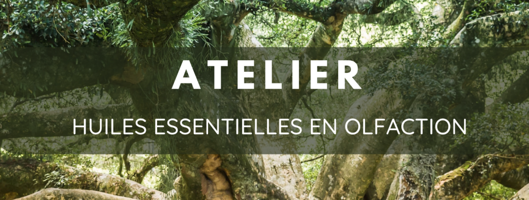 Atelier en aromathérapie énergétique / Voyage olfactif
