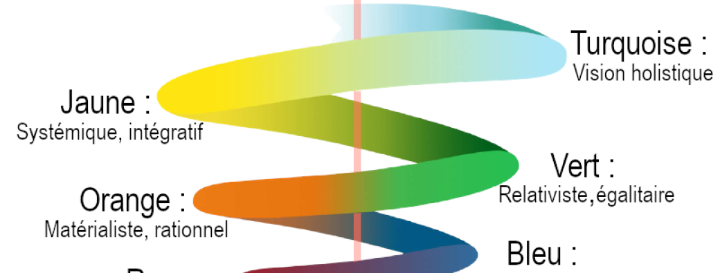 Atelier en ligne : La spirale dynamique - avec Martin Desbordes