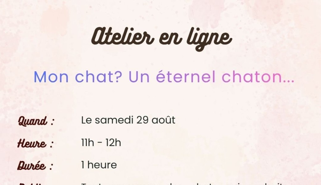 Atelier en ligne "Mon chat? Un éternel chaton..."